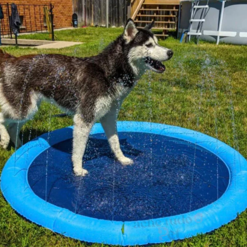 PiscinaDogs - Piscina Redonda para Cachorros