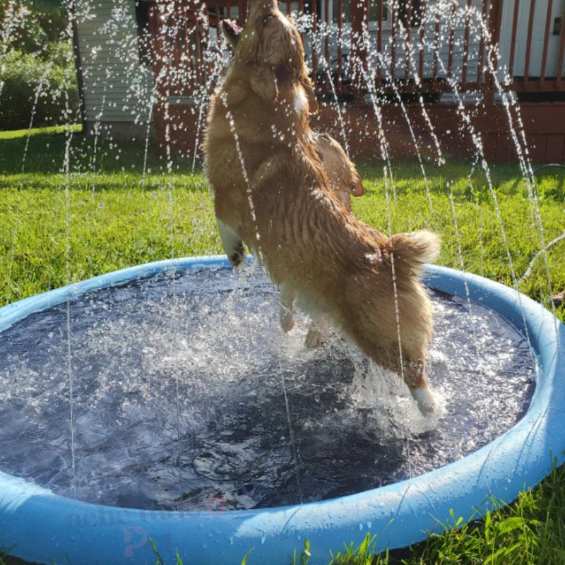 PiscinaDogs - Piscina Redonda para Cachorros