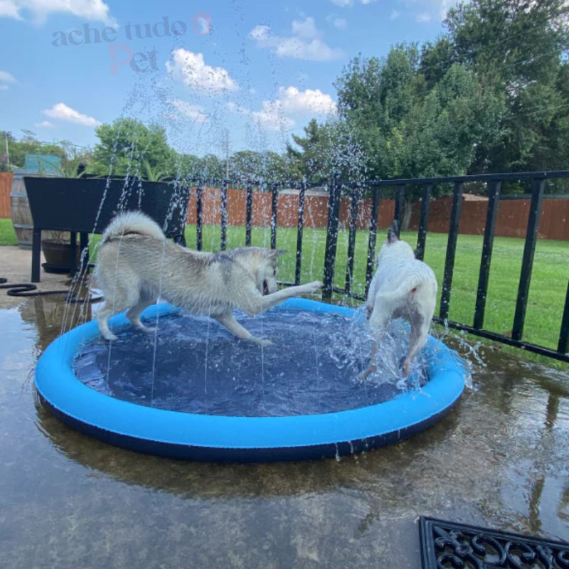 PiscinaDogs - Piscina Redonda para Cachorros