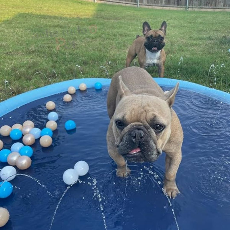 PiscinaDogs - Piscina Redonda para Cachorros