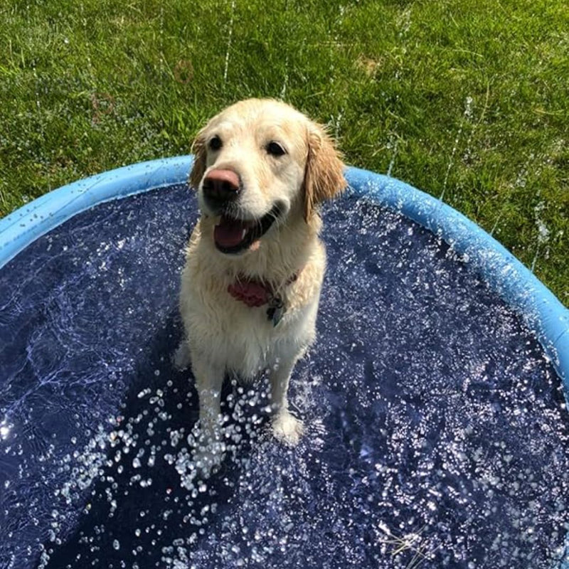 PiscinaDogs - Piscina Redonda para Cachorros