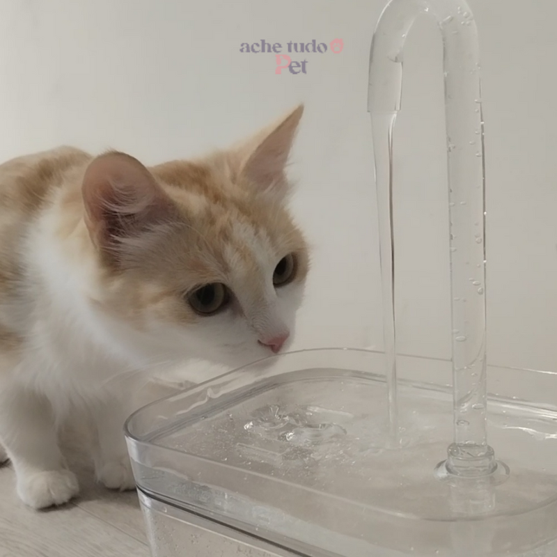 HidrataCat - Fonte de Água para Gatos de 1,5L