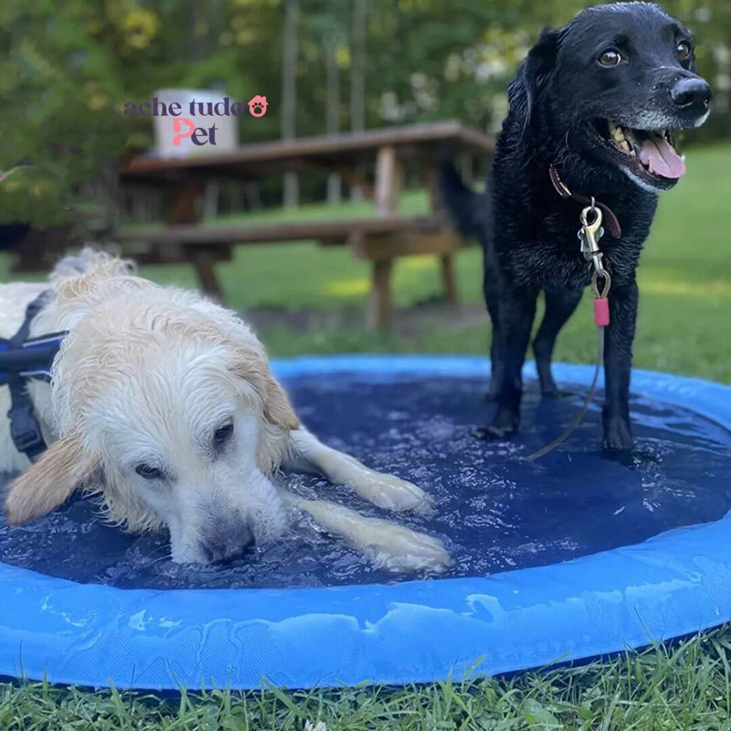 PiscinaDogs - Piscina Redonda para Cachorros