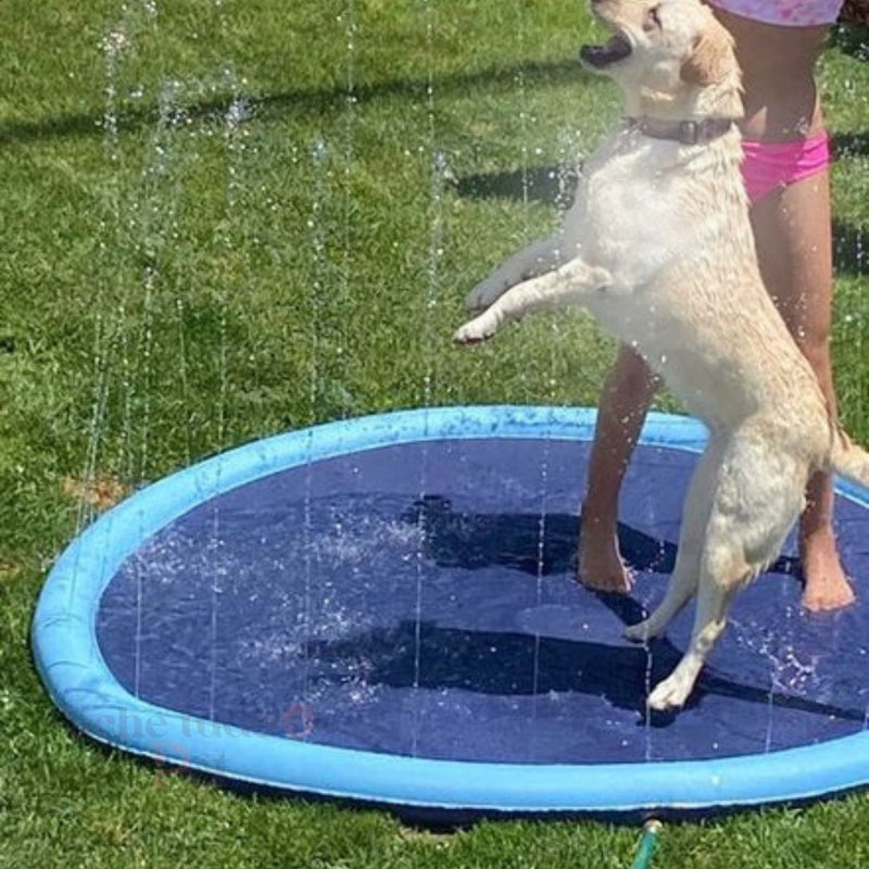 PiscinaDogs - Piscina Redonda para Cachorros