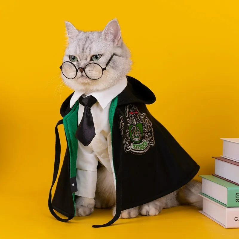 HarryCat - Fantasia de Harry Potter para Pets