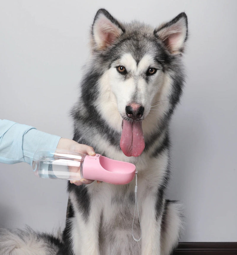 Bebedouro Portátil para Cães - PandShop