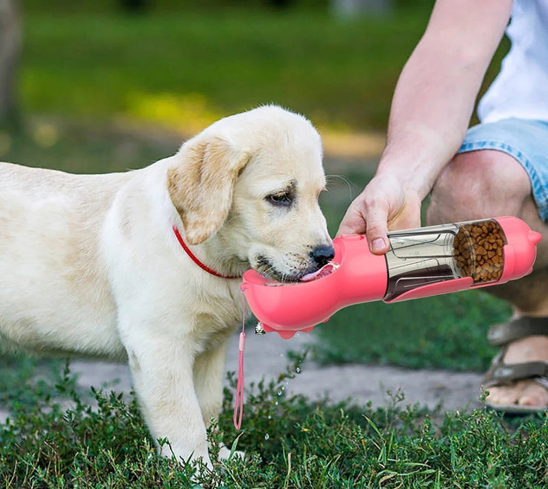 Bebedouro Multifuncional Portátil para Pets - PandShop